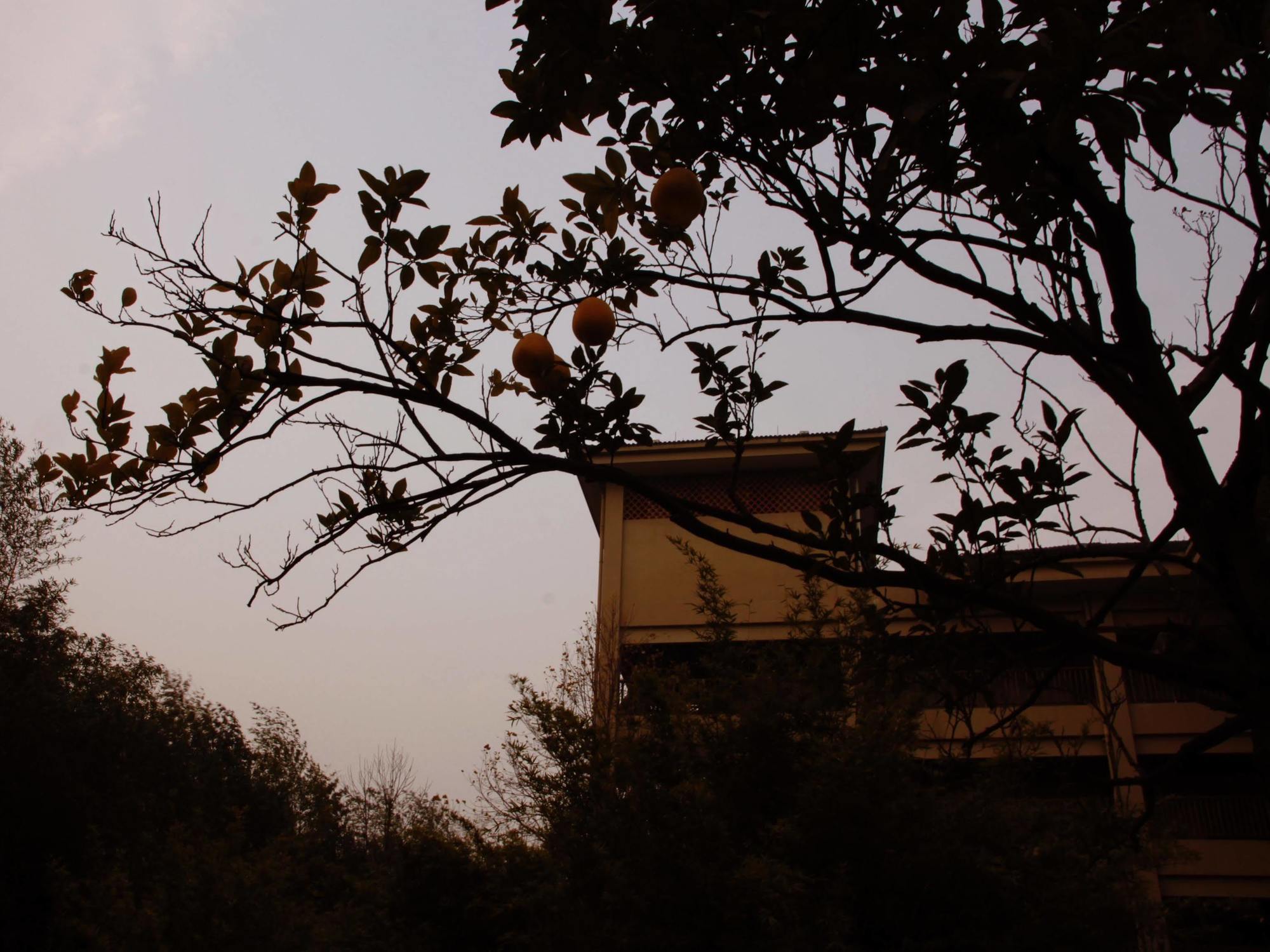 Hna Resort Yunqi Hangzhou Bagian luar foto